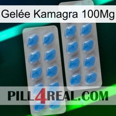 Gelée Kamagra 100Mg 23
